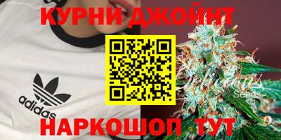 гидра Волжский